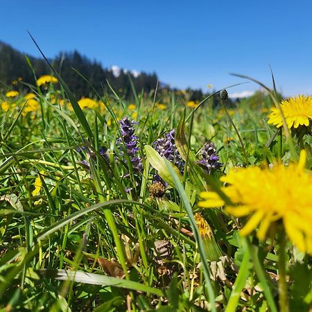 Sachserhof Ferienwohnungen In Sachsenburg Bagian luar foto