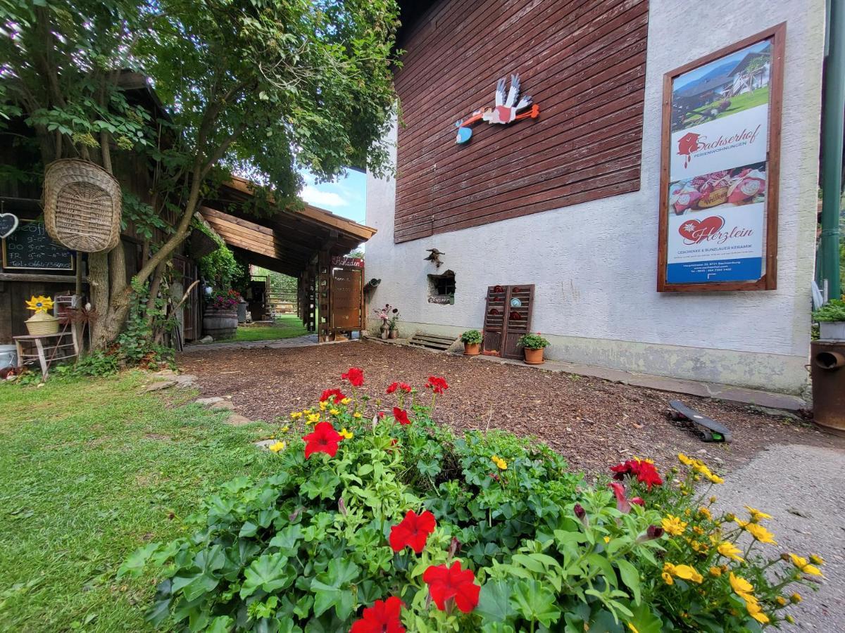 Sachserhof Ferienwohnungen In Sachsenburg Bagian luar foto