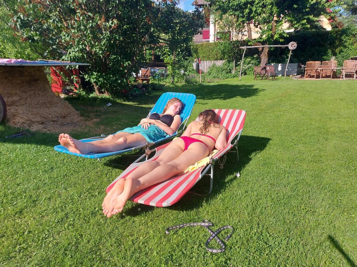 Sachserhof Ferienwohnungen In Sachsenburg Bagian luar foto