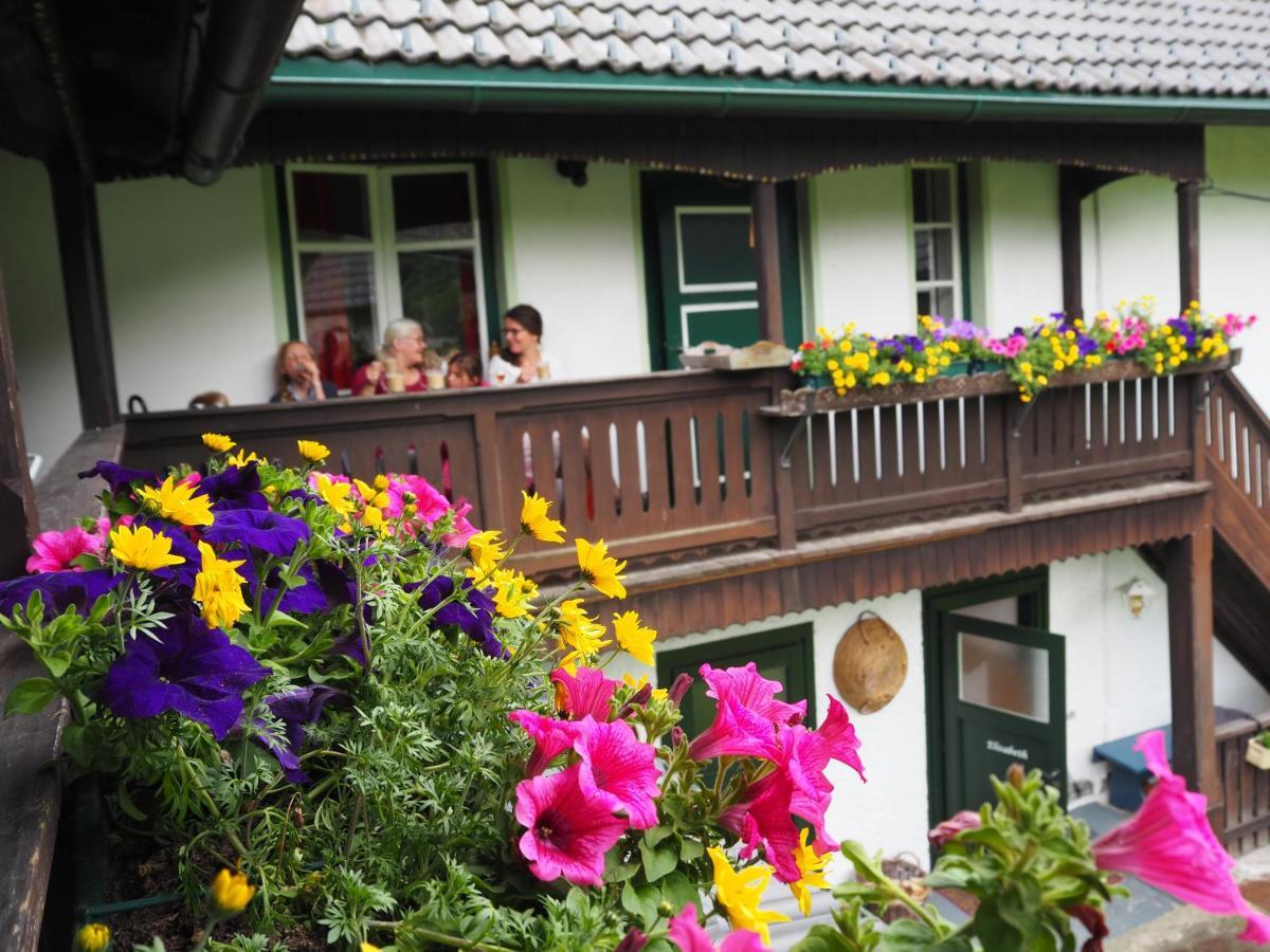 Sachserhof Ferienwohnungen In Sachsenburg Bagian luar foto