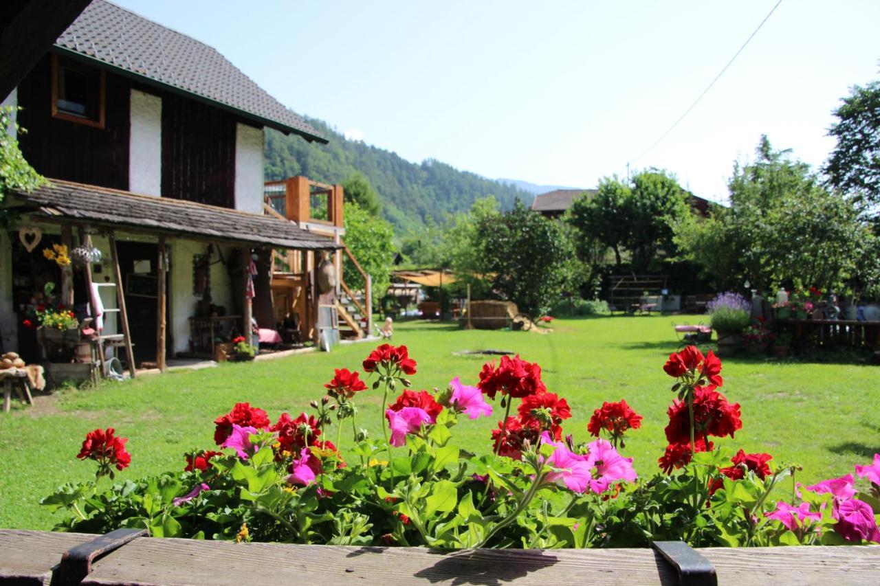Sachserhof Ferienwohnungen In Sachsenburg Bagian luar foto