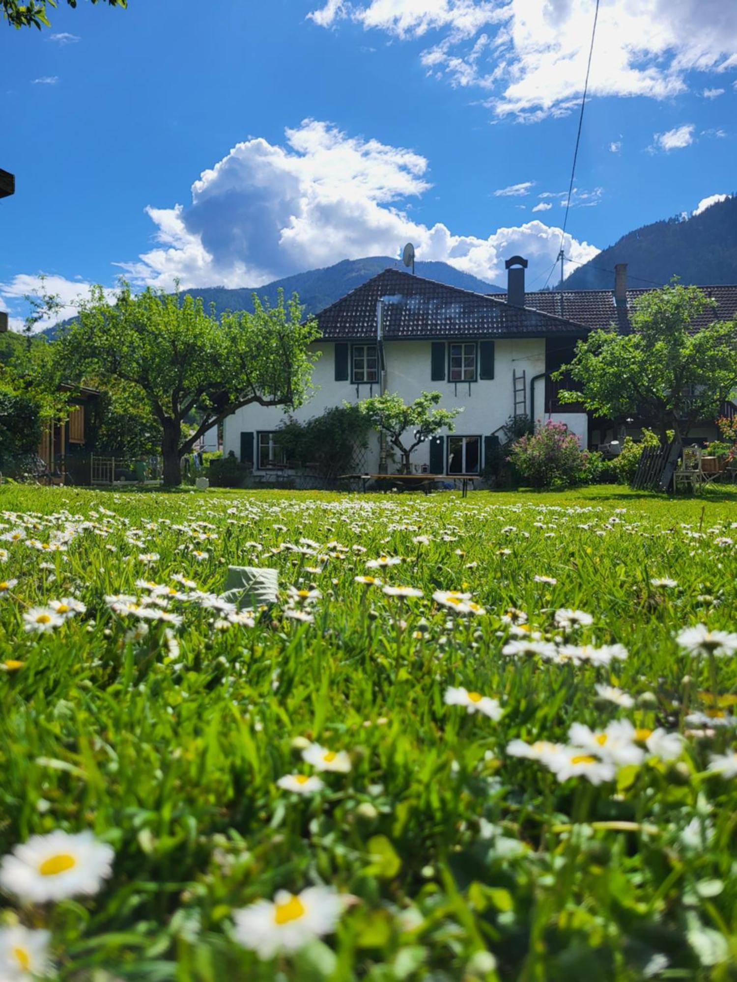 Sachserhof Ferienwohnungen In Sachsenburg Bagian luar foto